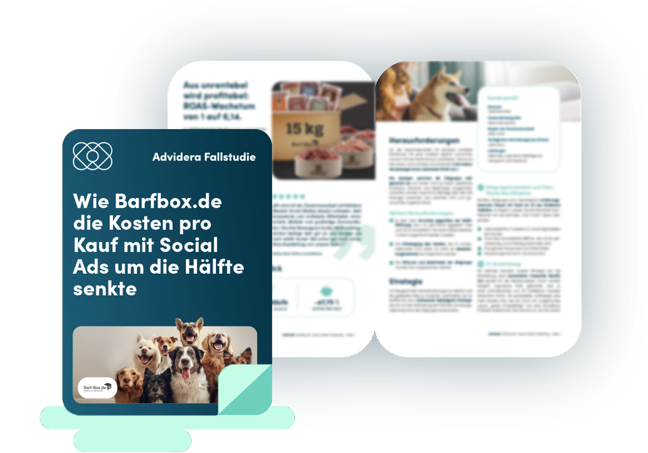 Fallstudie Social Ads: Barfbox 