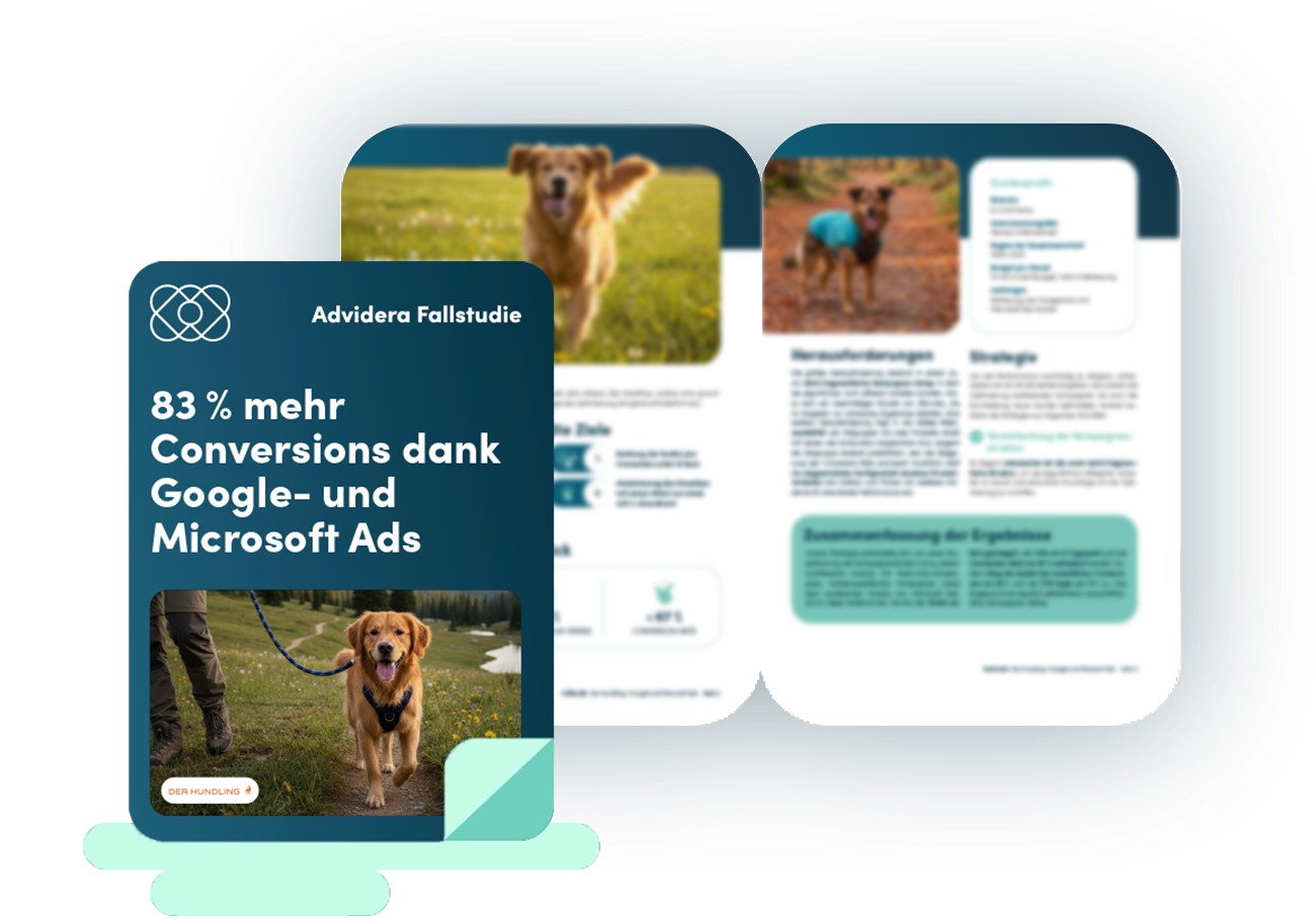 Fallstudie SEA: Hundling